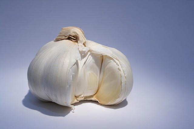 One head of Garlic