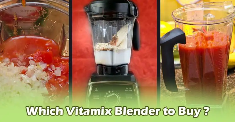 Which Vitamix blender to buy