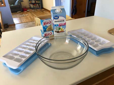 Ingredients and tools needed to make ice cream.