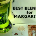 Best Blender for Margaritas