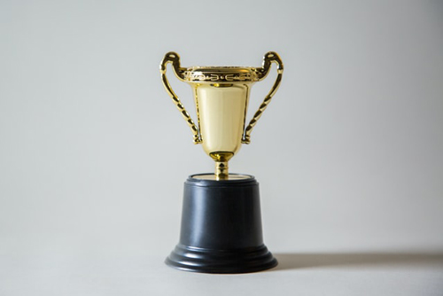 Image of trophy on grey background