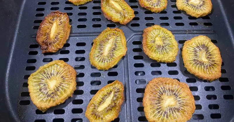 Rows of dried colorful kiwi slices