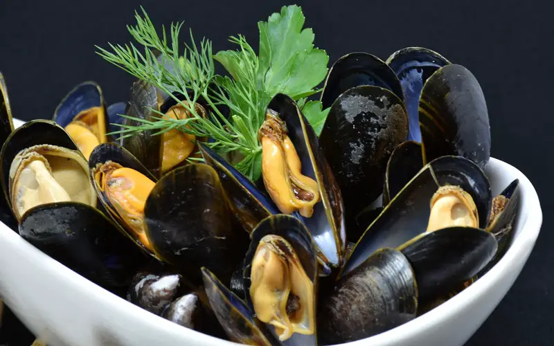 Steamed mussels in a white bowl